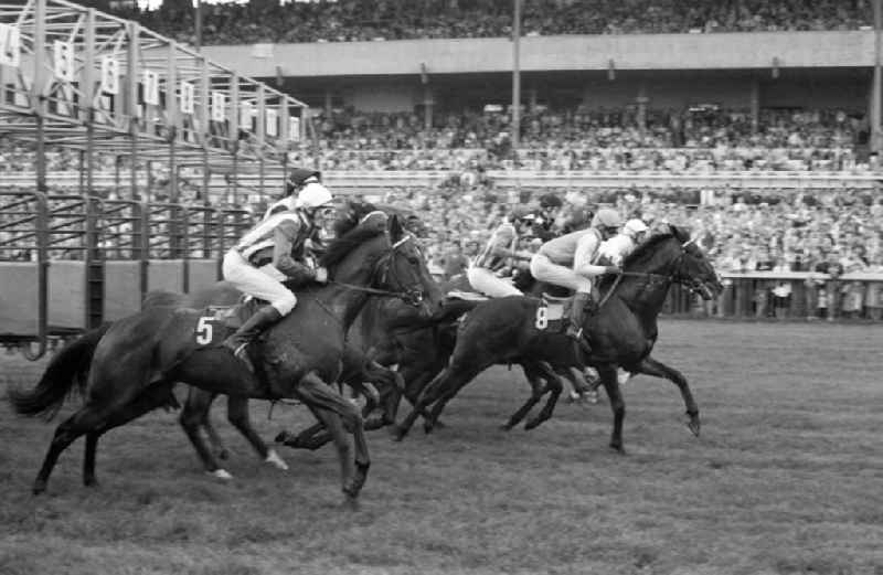 Horses and jockeys at the start of a horse race in Hoppegarten, Brandenburg in the territory of the former GDR, German Democratic Republic
