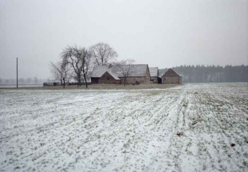 Agricultural farm on a wintry snowy field in Horka / Haehnichen, Saxony on the territory of the former GDR, German Democratic Republic