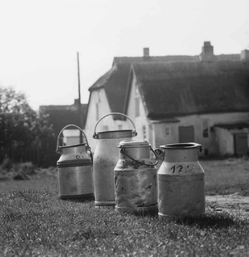 Collection point for milk jugs from zinc sheet in Neuendorf on the island Hiddensee in what is now the state of Mecklenburg-Western Pomerania
