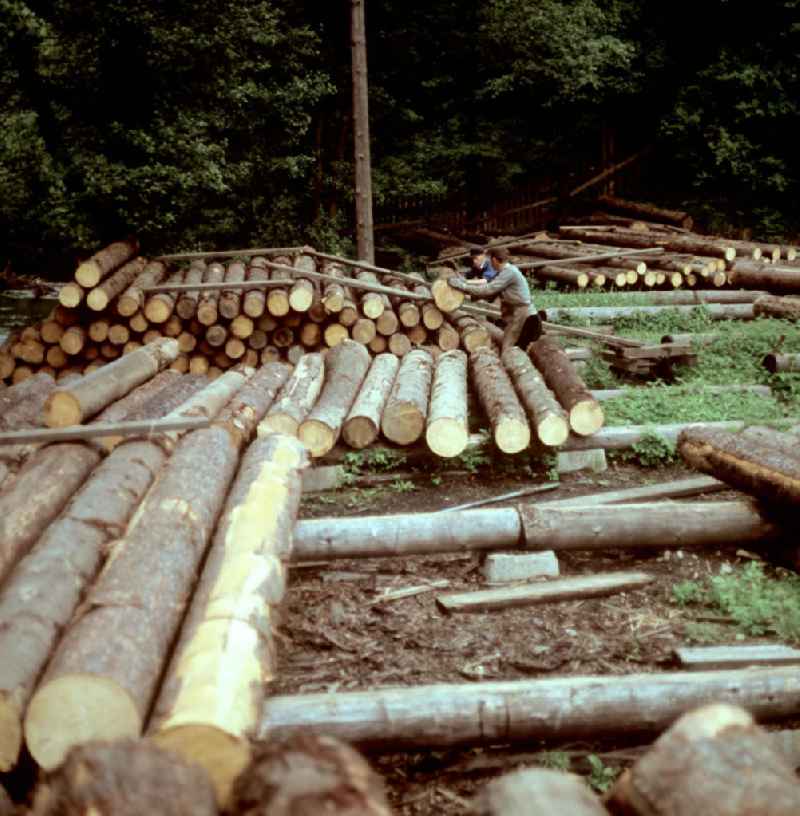Forstbetrieb des VEB Holzkombinat Werk Oberhammer in Katzhütte im Thüringer Wald. Der Thüringer Wald mit seinen Wander- und Erholungsmöglichkeiten war ein beliebtes Urlaubsziel in der DDR.