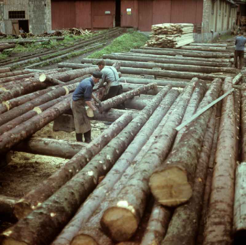 Forstbetrieb des VEB Holzkombinat Werk Oberhammer in Katzhütte im Thüringer Wald. Der Thüringer Wald mit seinen Wander- und Erholungsmöglichkeiten war ein beliebtes Urlaubsziel in der DDR.