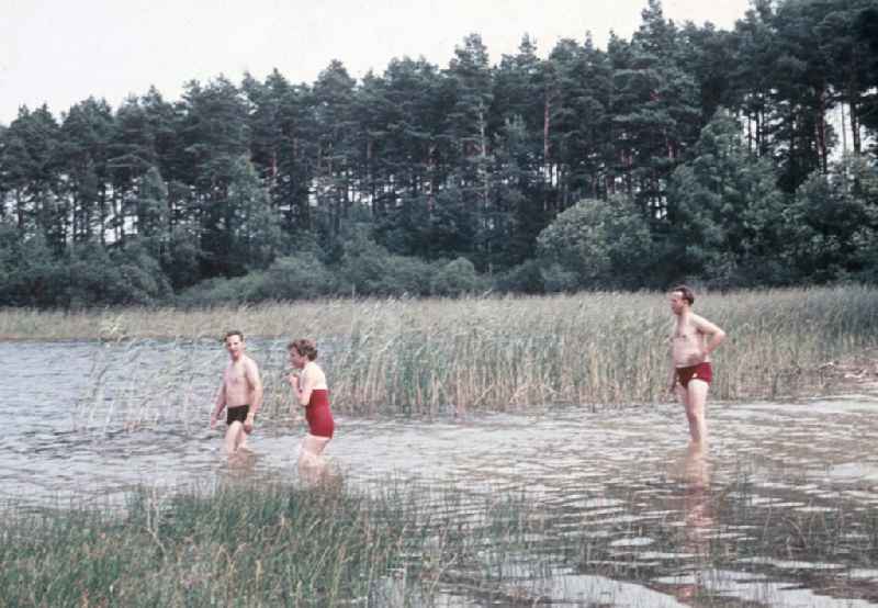 Having a bath vacationers in the Kluger lake in Klein Trebbow in the federal state Mecklenburg-West Pomerania in the area of the former GDR, German democratic republic