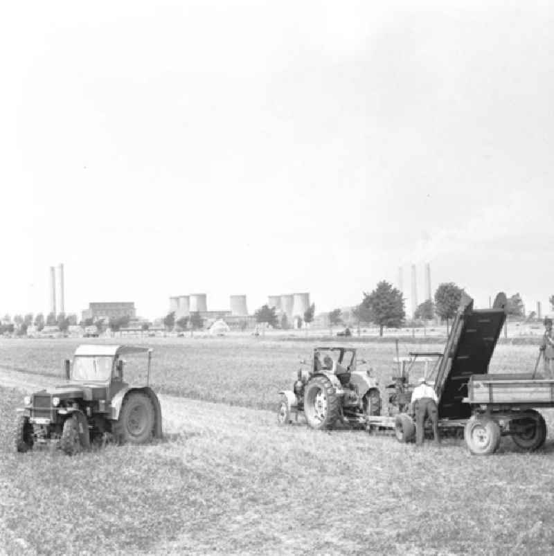 Trecker / Traktoren der LPG 'Karl Marx' bei der Ernte auf dem Feld. Kraftwerk im Hintergrund.
