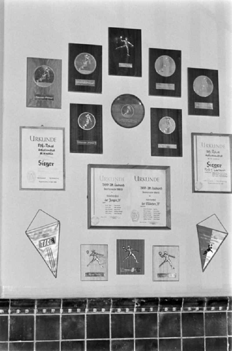 Secondary School OS Dr. Richard Sorge at Laubuscher Markt in the Upper Lusatian workers settlement Gartenstadt Erika in Laubusch in the state of Saxony on the territory of the former GDR, German Democratic Republic. School successes - certificates and awards hang on the wall in the hallway from the staircase