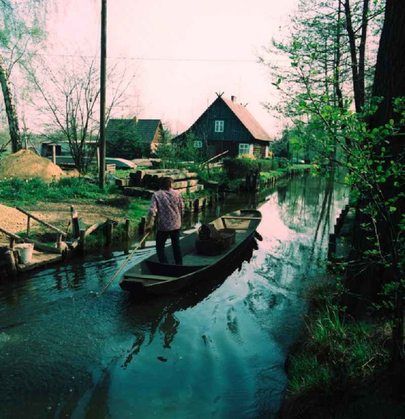 Man in a boat on a flow in Lehde in Luebbenau / Spreewald in Brandenburg today. The place is an island village. Due to the unusual situation Lehdes and some preserved historic Spreewald houses the completely Asked conservation Lehde is a popular destination for tourists