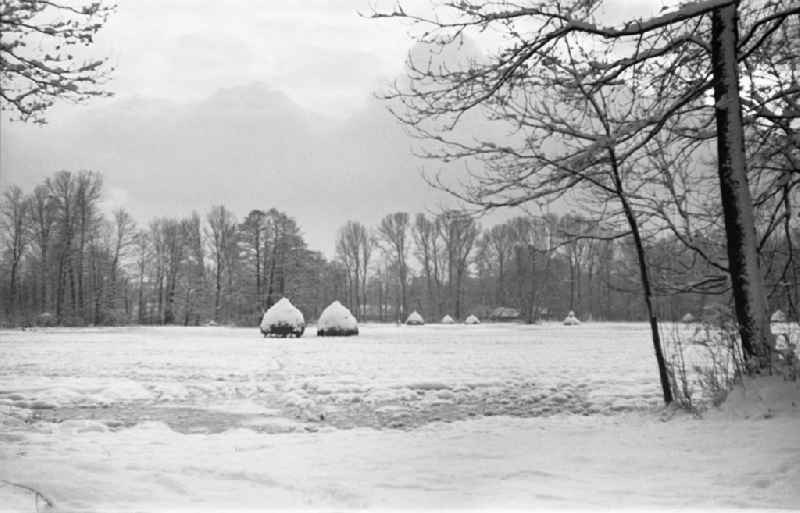 Winter landscape in Lehde im Spreewald, Brandenburg on the territory of the former GDR, German Democratic Republic