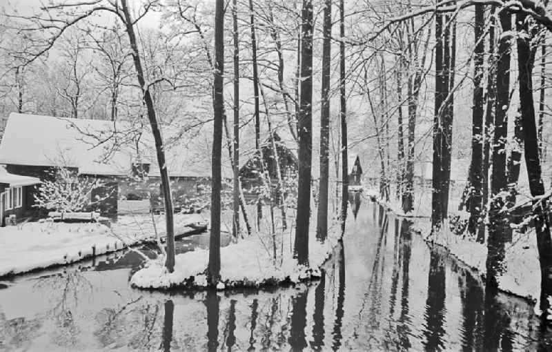 Winter landscape on a branch of the Spree in Lehde im Spreewald, Brandenburg on the territory of the former GDR, German Democratic Republic