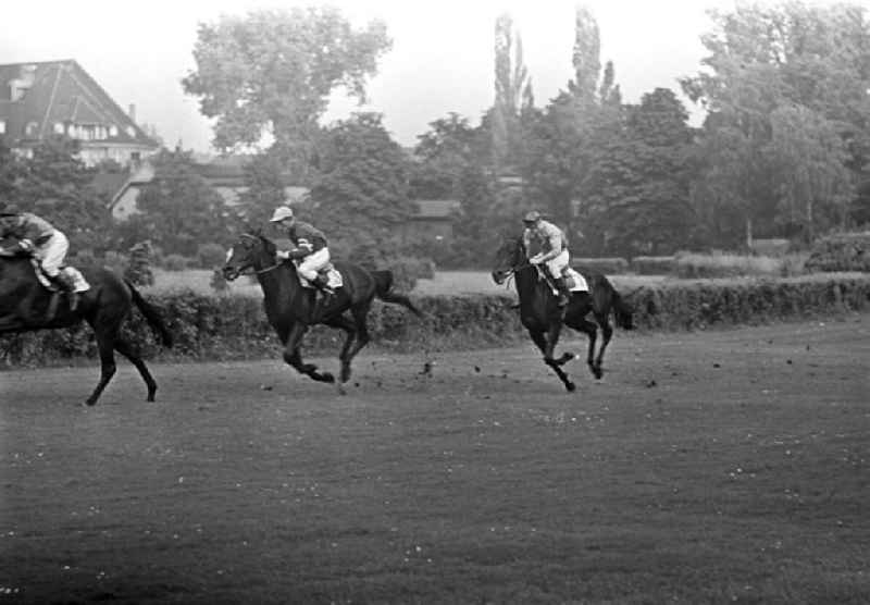 Um den Sieg reiten die Jockeys auf ihren Pferden auf der Galopprennbahn Scheibenholz in Leipzig.