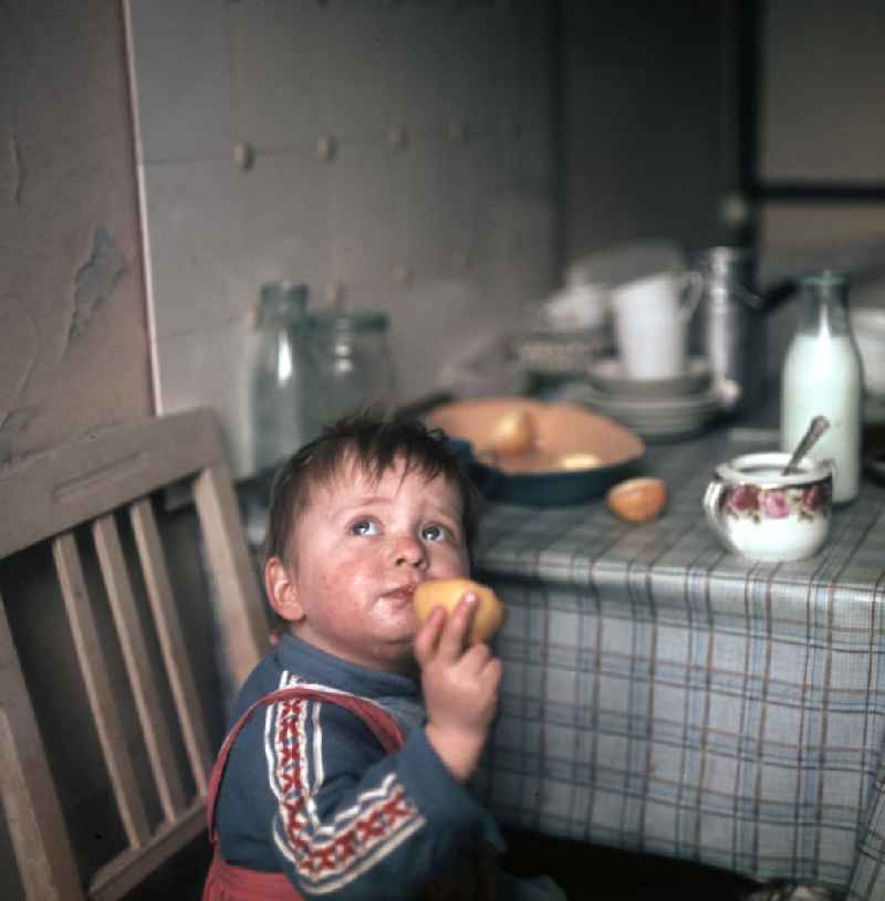 Ein kleiner Junge isst in der Küche einen Apfel.