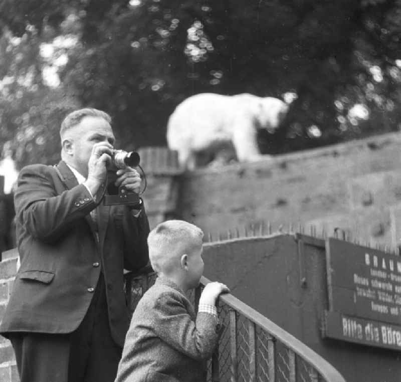 Ein Mann mit Fotoapparat und ein Junge im Zoo von Leipzig. Im Hintergrund ist ein Eisbär zu sehen. Der Zoo / Zoologischer Garten in Leipzig ist bekannt für sein Artenreichtum. Bestmögliche Qualität nach Vorlage!