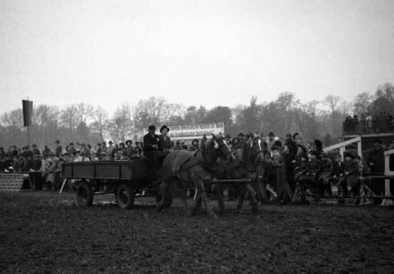 Riding and driving competition at the Scheibenholz racecourse in Leipzig in the state Saxony on the territory of the former GDR, German Democratic Republic
