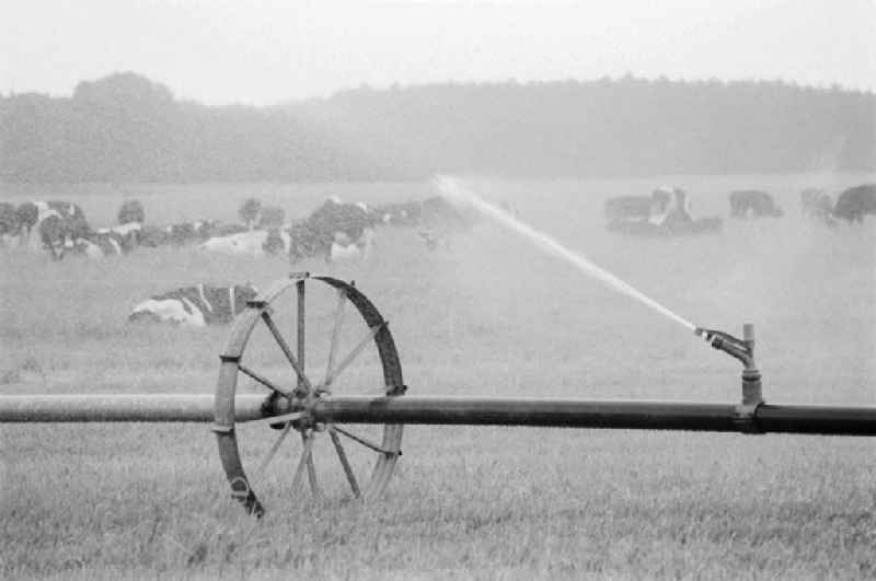 Sprinkler in a field in Lenzen (Elbe) in Brandenburg in the area of the former GDR, German Democratic Republic