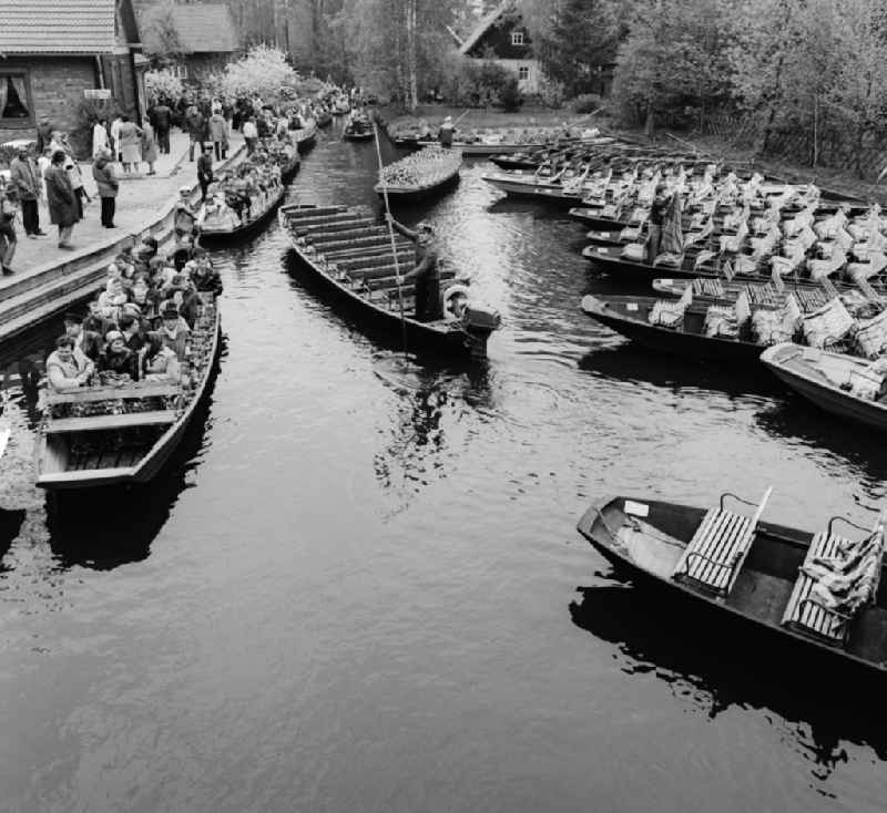 Spreewald barges with tourists in the Spreewald in Luebbenau/Spreewald in the federal state Brandenburg on the territory of the former GDR, German Democratic Republic