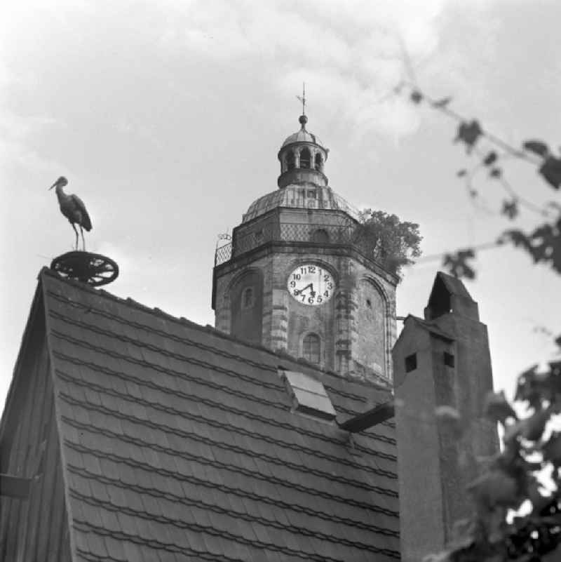 A white stork builds a nest on a roof in Magdeburg in Saxony - Anhalt. In the background a church tower with clock