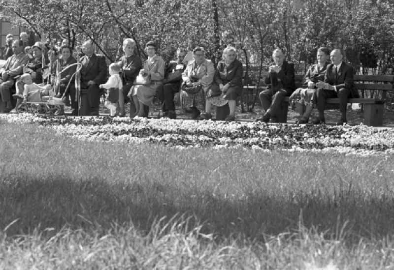 Retirees on a park bench in the city park of Magdeburg