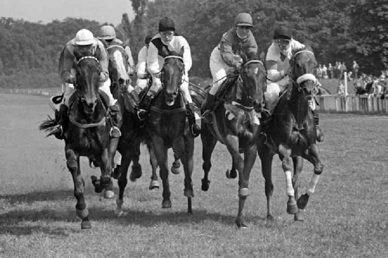 Horses and jockeys in the race at the Herrenkrug racecourse in Magdeburg in the state Saxony-Anhalt on the territory of the former GDR, German Democratic Republic