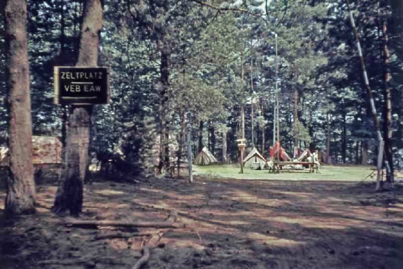 Summer camp operation with pupils and teenagers at a VEB EAW campsite in a forest clearing in Menz, Brandenburg on the territory of the former GDR, German Democratic Republic