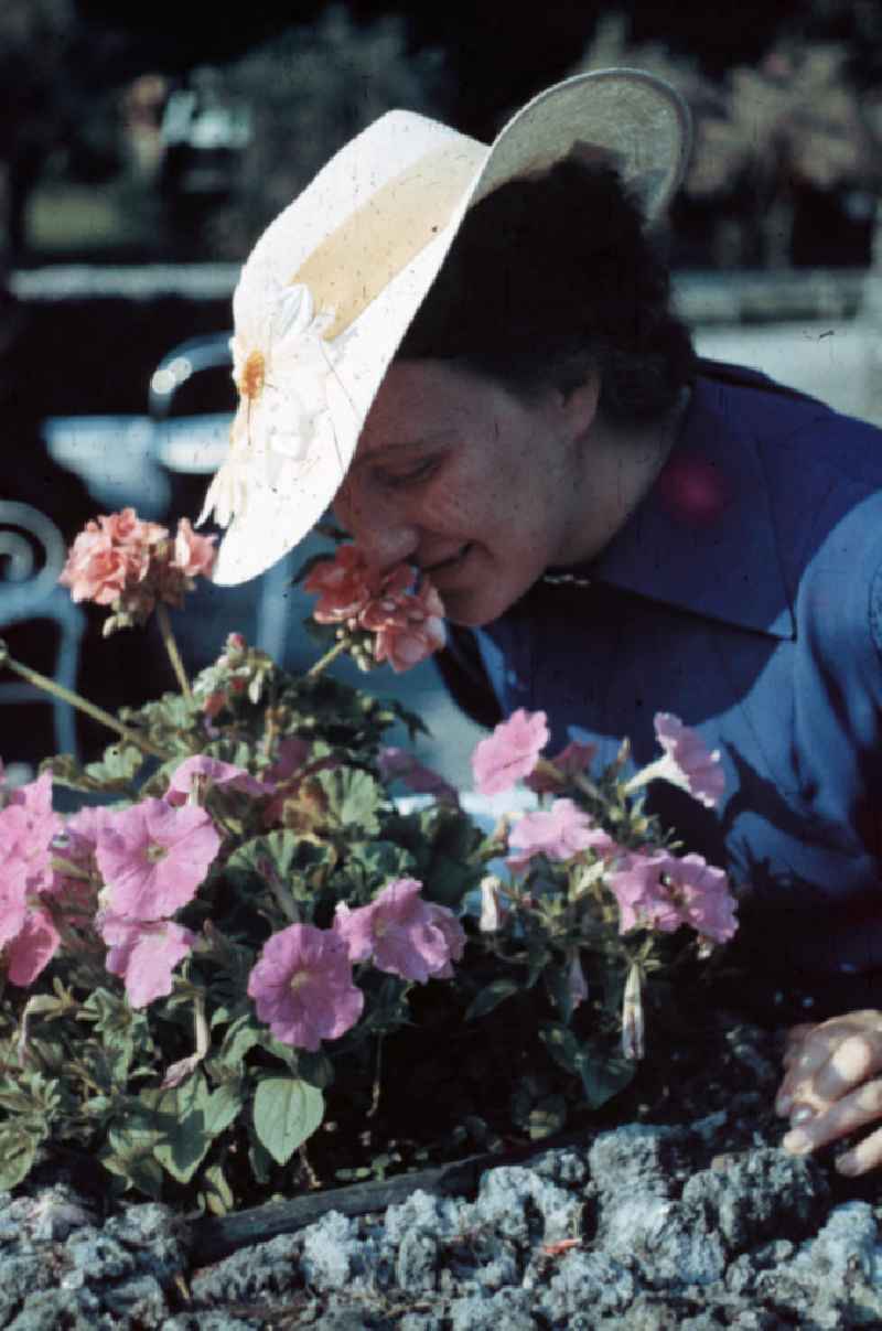 Portrait-Aufnahme: Frau mit Hut schnuppert an Blumen in Merseburg. Portrait photo of a woman with a hat.