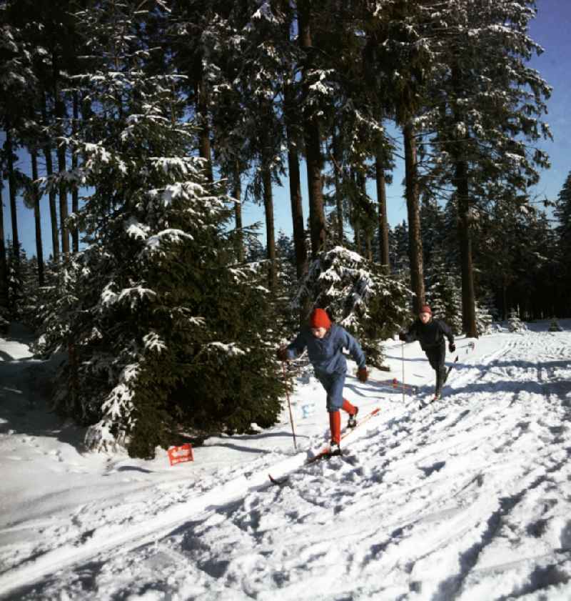 Winter sports talented in a cross-country skiing training in Oberhof in Thuringia