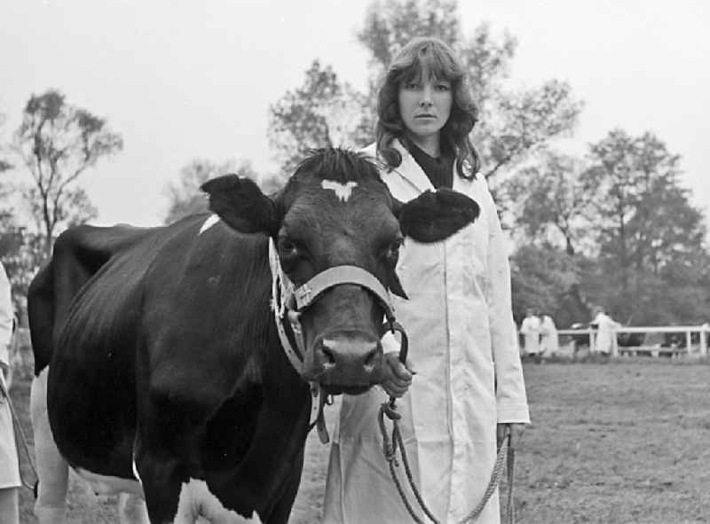 Cattle breeding exhibition and presentation on the occasion of a village festival in Paaren, Brandenburg on the territory of the former GDR, German Democratic Republic