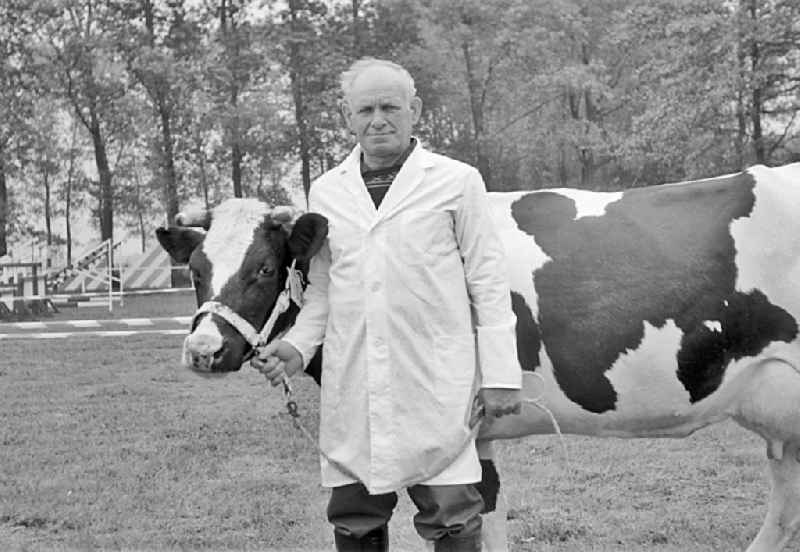 Cattle breeding exhibition and presentation on the occasion of a village festival in Paaren, Brandenburg on the territory of the former GDR, German Democratic Republic
