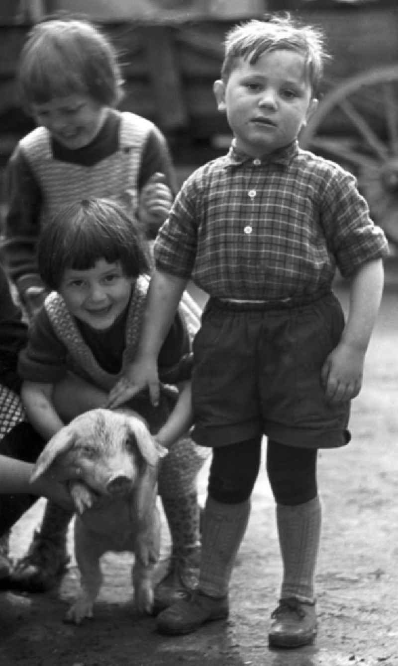 Kinder aus dem kleinen Dorf Pomßen nahe Leipzig posieren zusammen mit einem kleinen Ferkel für ein Gruppenfoto.