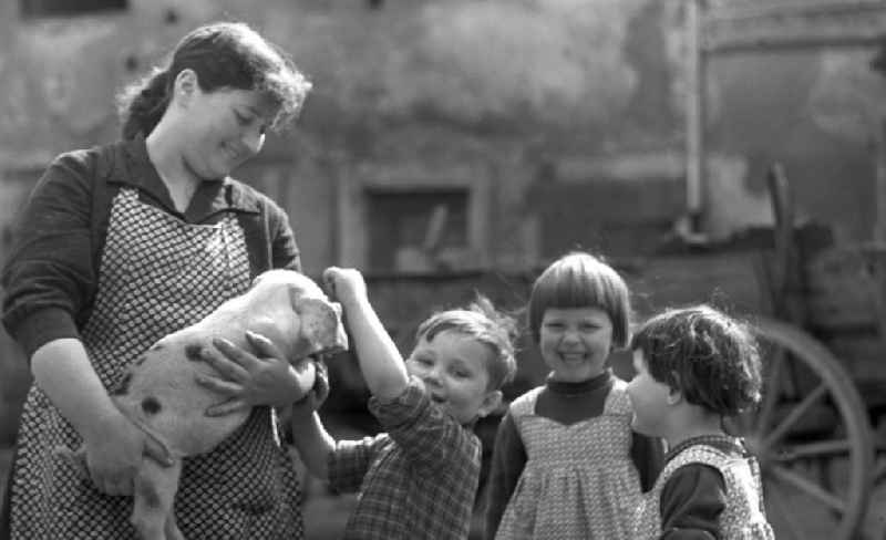 Kinder vergnügen sich in dem Dorf Pomßen nahe Leipzig beim Spielen mit einem Ferkel.