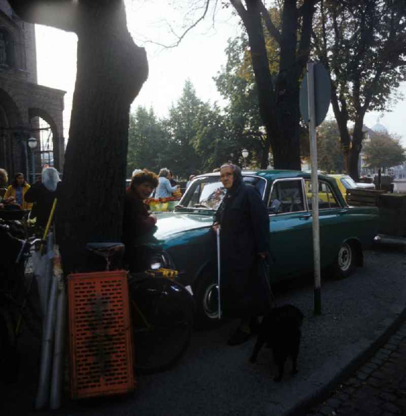 Wochenmarkt auf dem Bassinplatz in Potsdam. Im Vordergrund eine ältere Frau mit Stock und Hund an der Leine, die sich auf einen metallic-grünen Moskwitsch stützt.