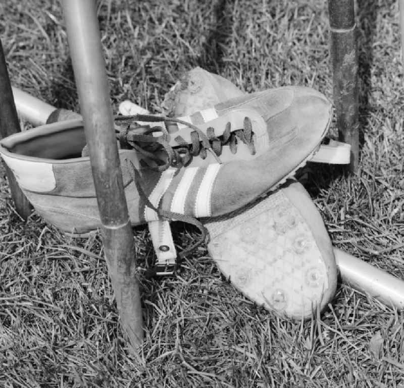 Symbolic picture - sneakers and spears on a piece of grass in Potsdam in Brandenburg on the territory of the former GDR, German Democratic Republic