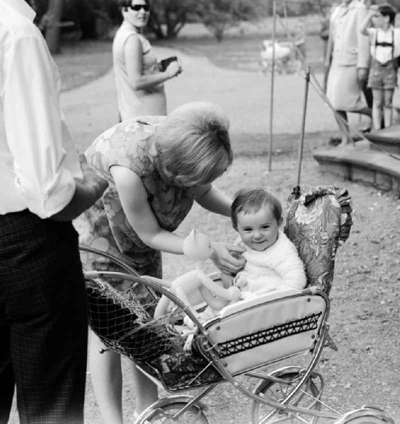 A young family with a toddler and a pram during a walk through the Sanssouci Park in Potsdam in the federal state of Brandenburg on the territory of the former GDR, German Democratic Republic