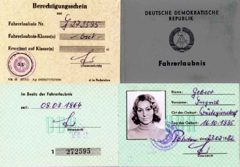 Reproduction Driver's license issued in the district Babelsberg in Potsdam in the state Brandenburg on the territory of the former GDR, German Democratic Republic