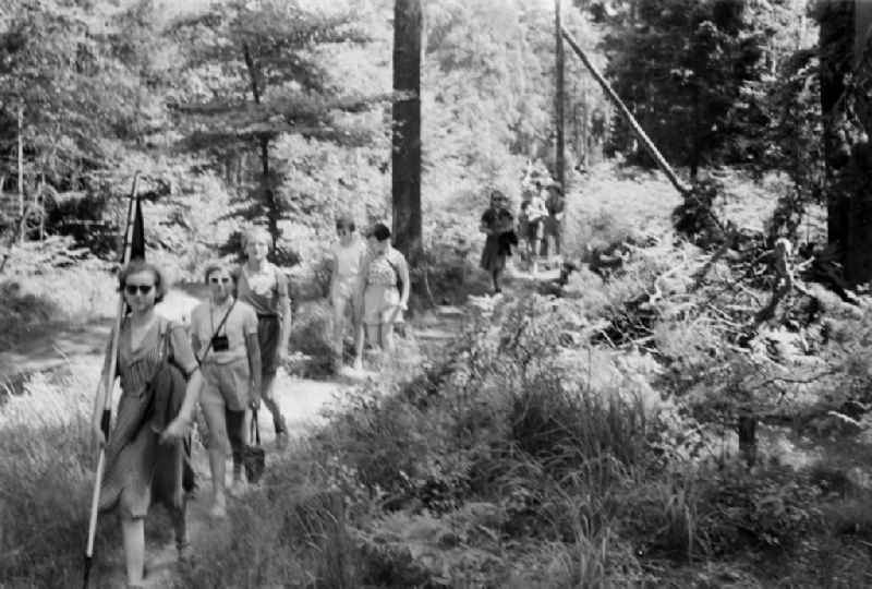 Group of children and teenagers hiking with the pennant youth organization's pennant in Prerow in the state Mecklenburg-Western Pomerania on the territory of the former GDR, German Democratic Republic