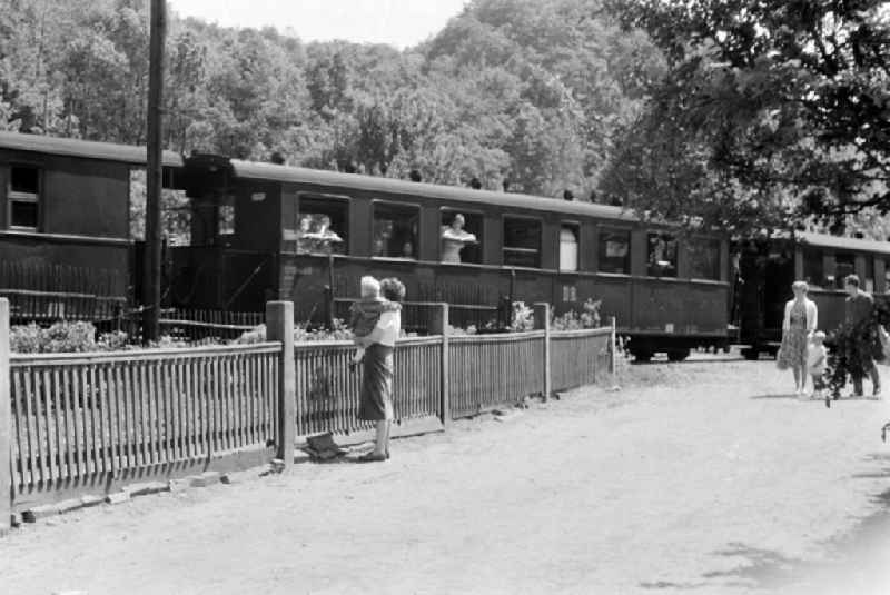 Narrow-gauge railway passenger train of the Deutsche Reichsbahn traveling in Radebeul, Saxony in the territory of the former GDR, German Democratic Republic
