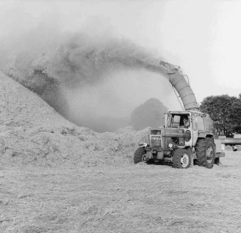 A harvester in action in a field in Trittsee / Klietz in Rathenow in Brandenburg on the territory of the former GDR, German Democratic Republic