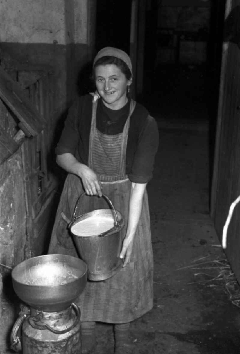 Milk production work on a farm in Reichstaedt in the state Thuringia on the territory of the former GDR, German Democratic Republic