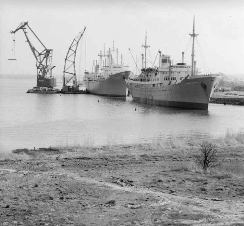 The traditional ship type ' Peace ' and the cargo and training ship of the VEB Deutsche Seereederei ' Georg Buechner ' are docked at the overseas port in Rostock in the federal state Mecklenburg-Vorpommern on the territory of the former GDR, German Democratic Republic