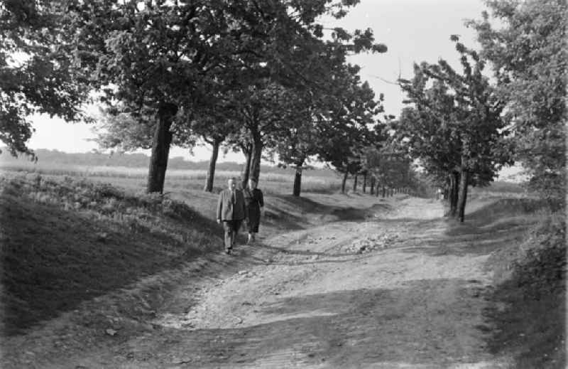 Passers-by and strollers on a Sunday excursion on the Dingelstaedter Weg road in Sargstedt in the state Saxony-Anhalt in the area of the former GDR, German Democratic Republic