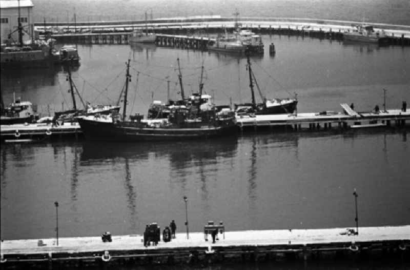 Ansichten auf verschiedene Arbeitsbereiche einer Fischereibesatzung im Saßnitzer Hafen.