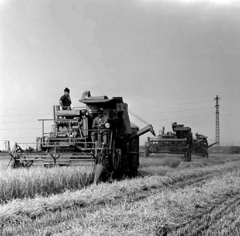 10.07.1967

Landwirtschaftliche Produktionsgenossenschaft '7 Oktober' in Schenkenberg/ Delitzsch
Mähdrescher (Gerste) 38 ha

Umschlagnr.: 1