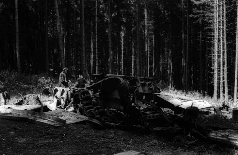 Familie beim Waldspaziergang im Harz. Im Vordergrund Panzer-Reste, ein Relikt aus dem Zweiten Weltkrieg. Family at the forest walk in the Harz Mountains. A tank wreck in the front.