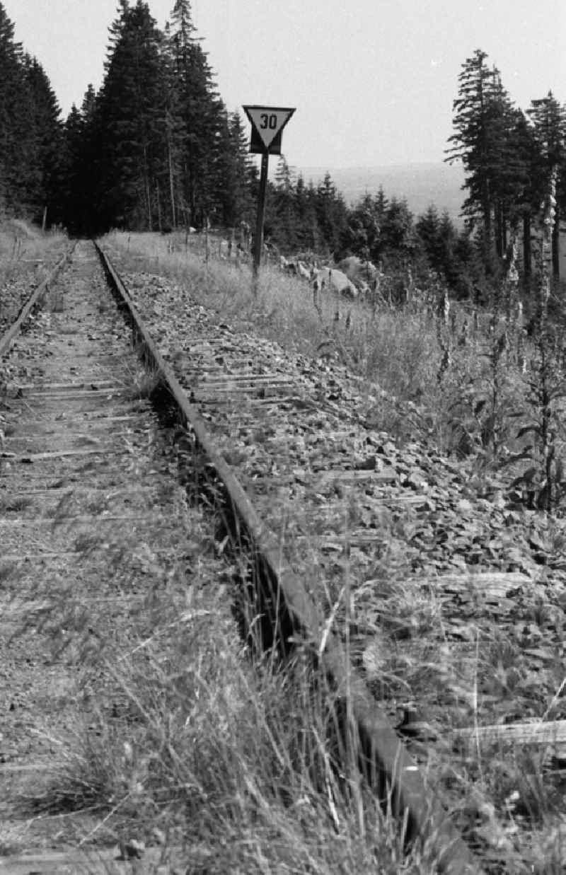 Neglected track layout and track systems on the railway line on the summit plateau of the Brocken after its release for civilian visitor traffic in Schierke in the Harz in the state of Saxony-Anhalt in the area of the former GDR, German Democratic Republic