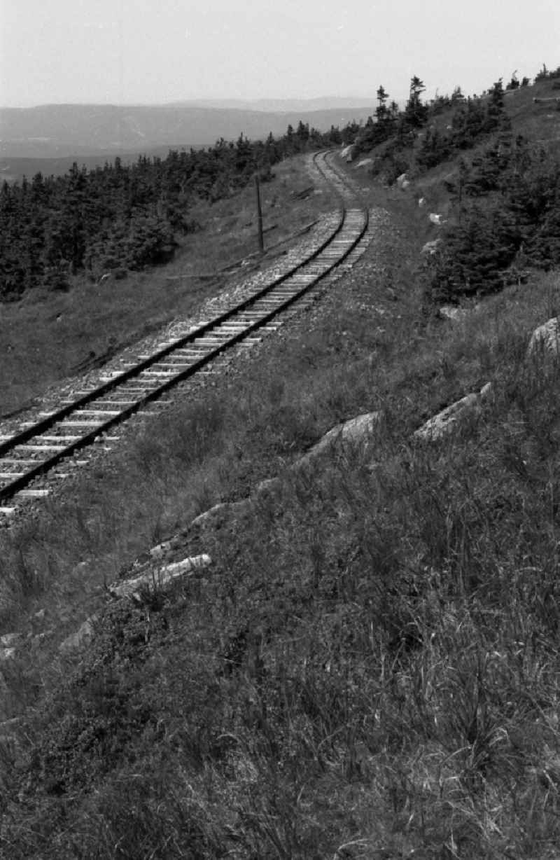 Neglected track layout and track systems on the railway line on the summit plateau of the Brocken after its release for civilian visitor traffic in Schierke in the Harz in the state of Saxony-Anhalt in the area of the former GDR, German Democratic Republic