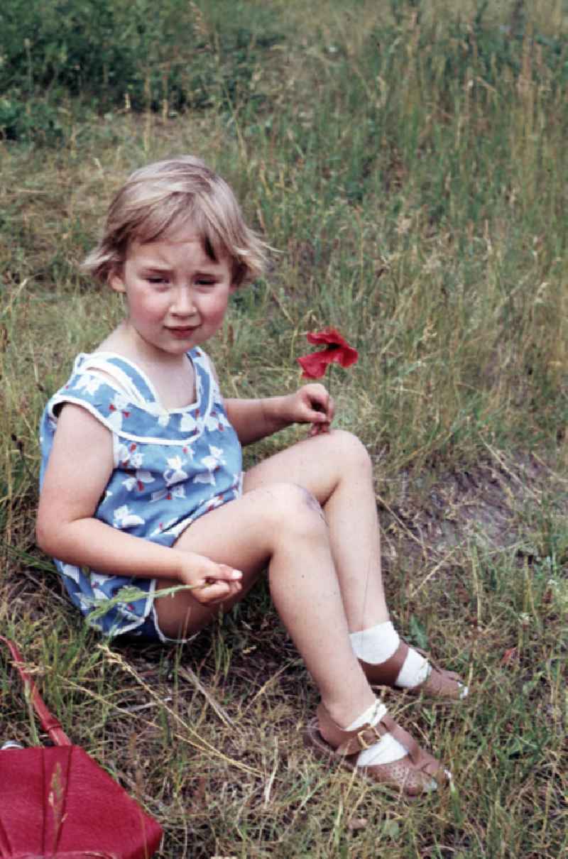 Mädchen pflückt Mohnblumen. Girl picking poppies.