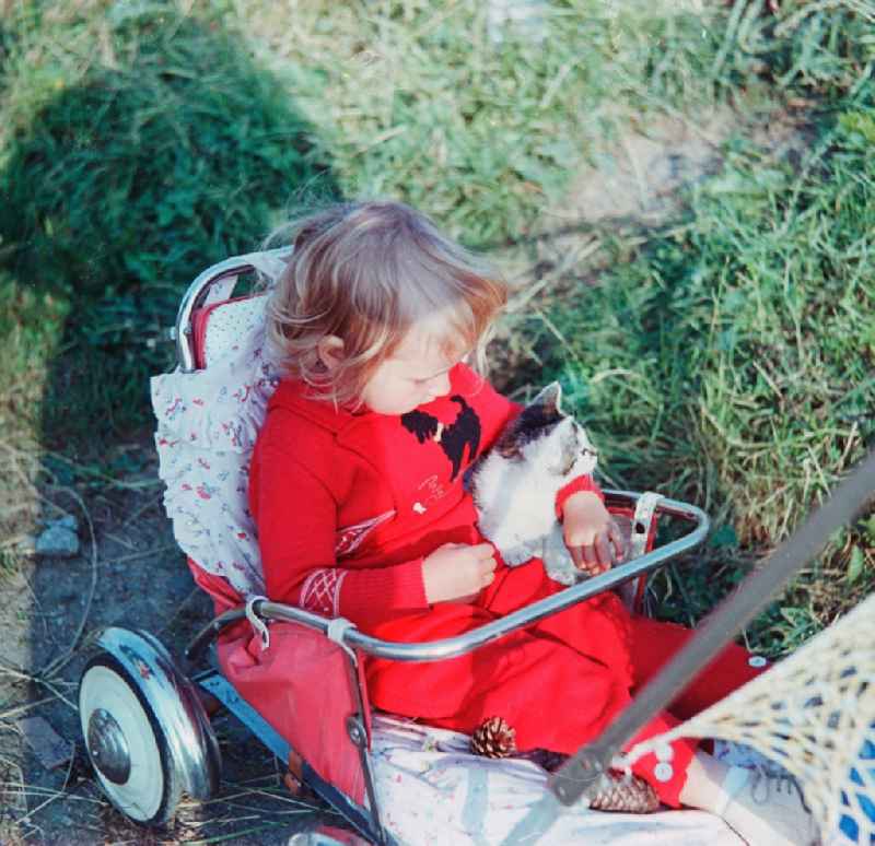 A toddler sits in the baby carriage with a cat's baby in Schlettau in the federal state Saxony in the area of the former GDR, German democratic republic