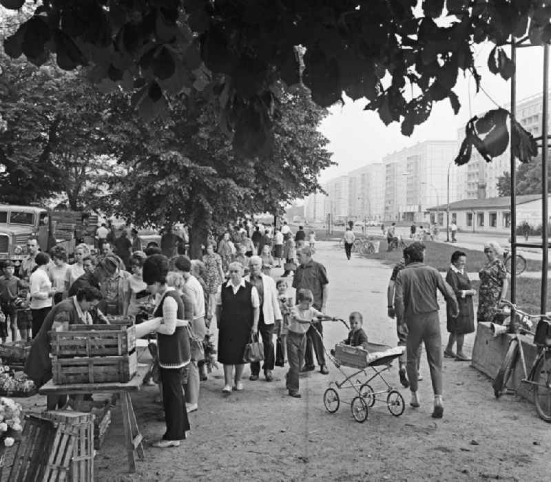 Markt auf dem Platz der Befreiung an der Lindenallee. Händler bieten ihre Waren an, und die Menschen stehen Schlange. Ein Kind schiebt ein Baby im Kinderwagen / Sportwagen / Buggy.