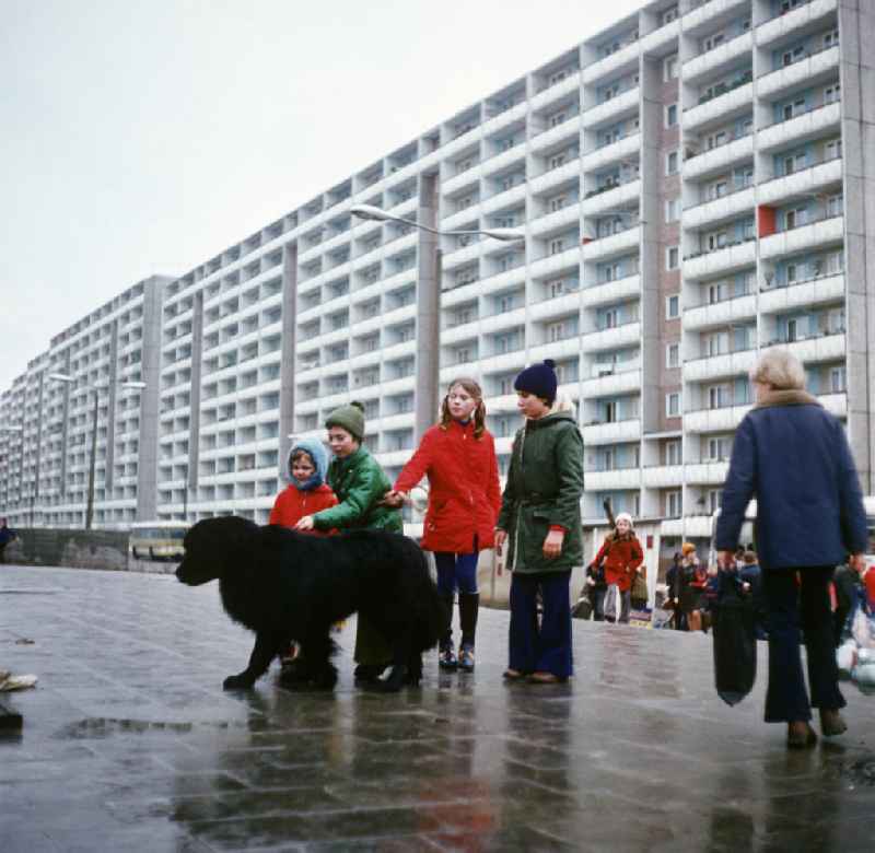 Kinder spielen in einer Neubausiedlung im Stadtteil Talsand mit einem Hund. Durch die Errichtung einer Papierfabrik und des Erdölverarbeitungswerks Schwedt (heute PCK Raffinerie) in den 1960er Jahren wuchs die Einwohnerzahl innerhalb von 15 Jahren von 10000 auf 4000