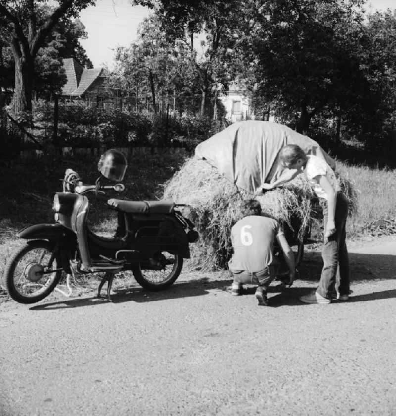 A father with his son advance on a motorcycle, the brand 'Swallow' with follower, hay in Schwerin in the federal state Mecklenburg-West Pomerania in the area of the former GDR, German democratic republic