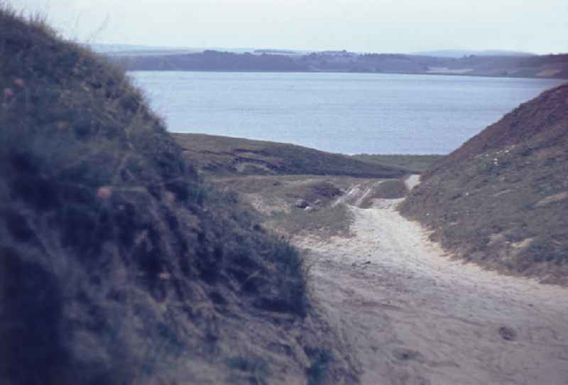 Planting and vegetation in the dune stripto the Baltic Sea in Sellin, Mecklenburg-Western Pomerania on the territory of the former GDR, German Democratic Republic