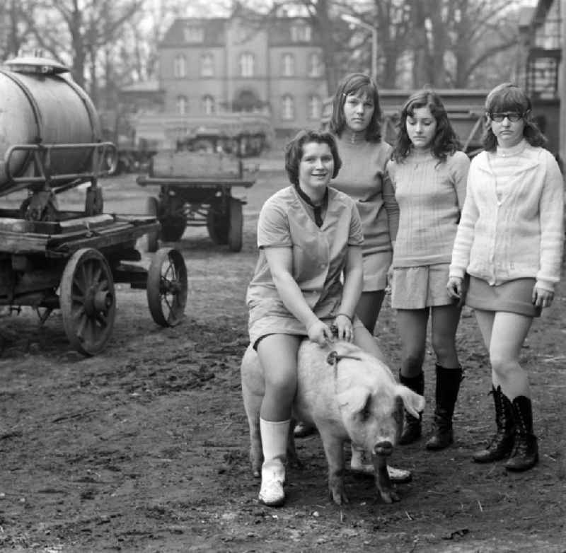 Girls with the pig 'Elli' in Spremberg in the state Brandenburg on the territory of the former GDR, German Democratic Republic