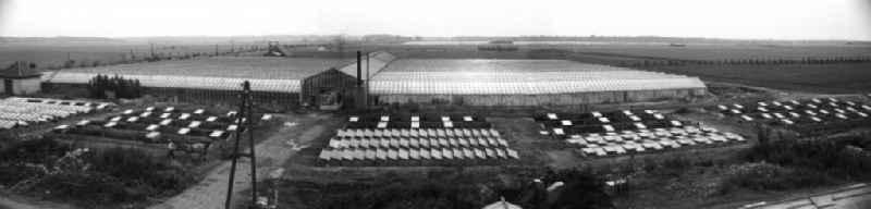 Panorama of the greenhouses of the German Agricultural Production Cooperative LPG ' Rotes Banner ' in Trinwillershagen in Mecklenburg-Western Pomerania